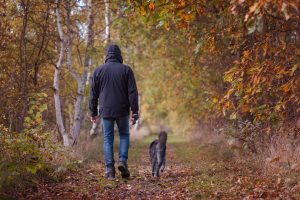 autumn walk man with his dog